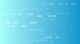 BitDogLab - Portfolio - 1