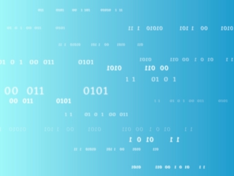 BitDogLab - Portfolio - 1