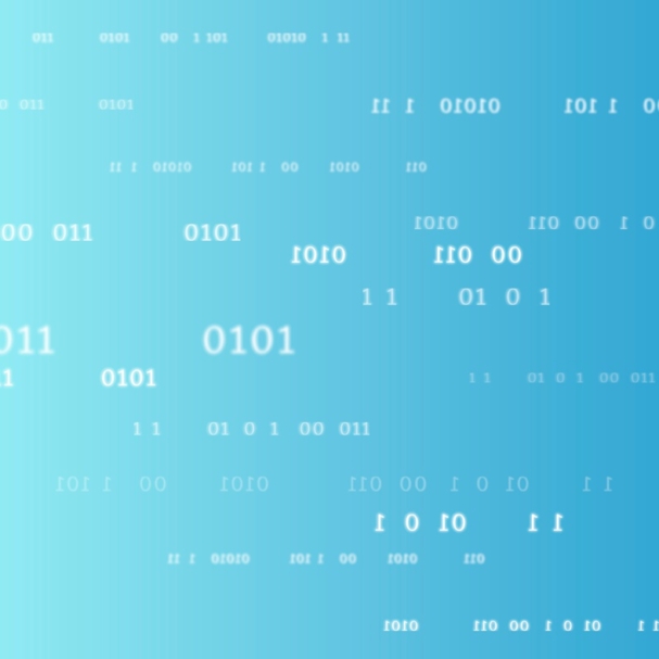 BitDogLab - Portfolio - 1