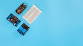 BitDogLab - Portfolio - 2